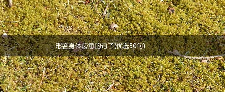 形容身体疲惫的句子(优选50句),第1张