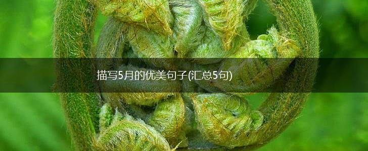 描写5月的优美句子(汇总5句),第1张