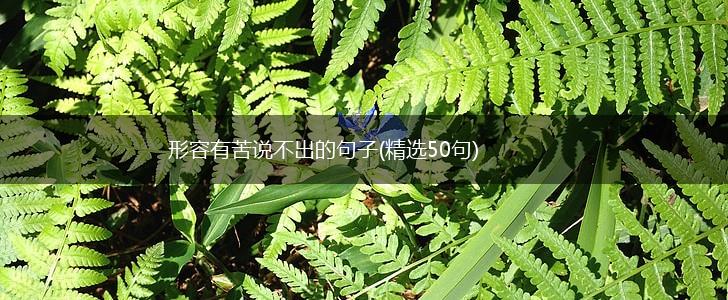 形容有苦说不出的句子(精选50句),第1张