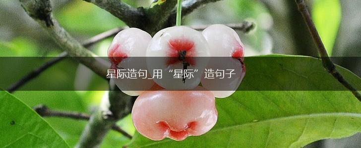 星际造句_用“星际”造句子,第1张 星际造句_用“星际”造句子,第1张