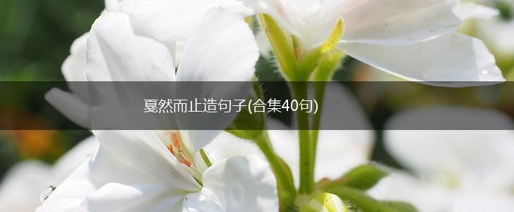 戛然而止造句子(合集40句),第1张
