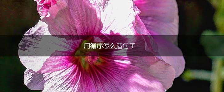 用循序怎么造句子,第1张 用循序怎么造句子,第1张