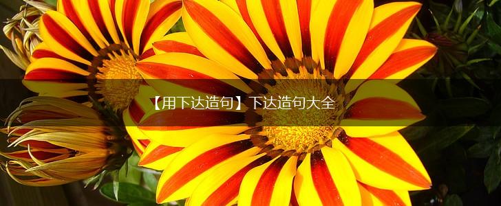 【用下达造句】下达造句大全,第1张 【用下达造句】下达造句大全,第1张