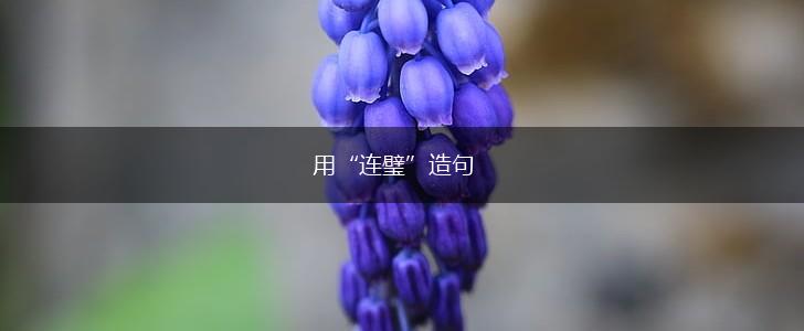 用“连璧”造句,第1张