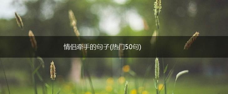 情侣牵手的句子(热门50句),第1张
