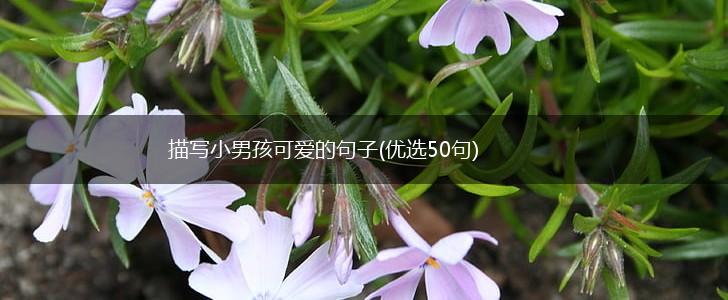 描写小男孩可爱的句子(优选50句),第1张
