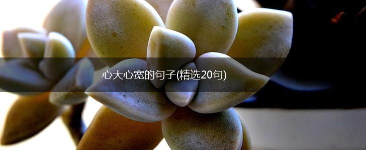 心大心宽的句子(精选20句),第1张