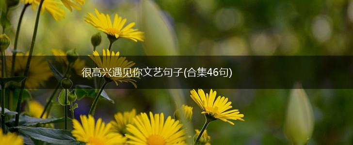 很高兴遇见你文艺句子(合集46句),第1张