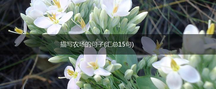 描写农场的句子(汇总15句),第1张