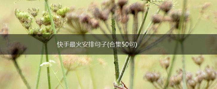 快手最火安排句子(合集50句),第1张