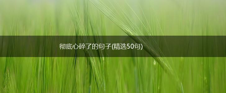 彻底心碎了的句子(精选50句),第1张