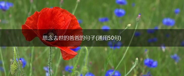 思念去世的爸爸的句子(通用50句),第1张