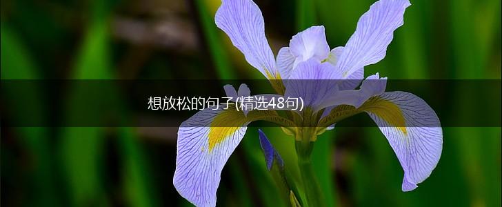 想放松的句子(精选48句),第1张