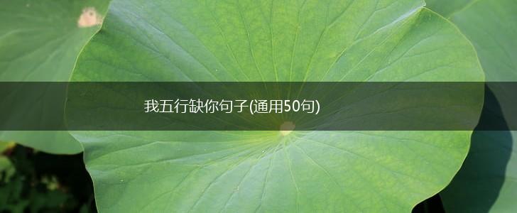 我五行缺你句子(通用50句),第1张