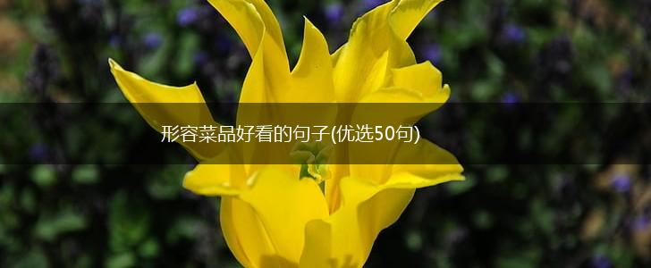 形容菜品好看的句子(优选50句),第1张