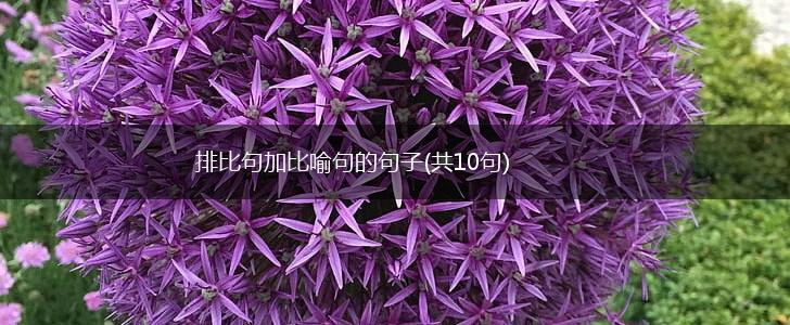 排比句加比喻句的句子(共10句),第1张