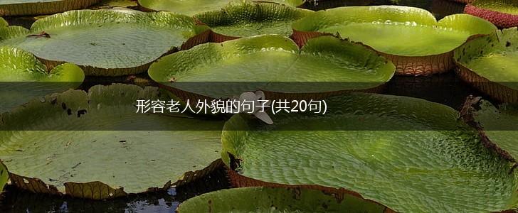 形容老人外貌的句子(共20句),第1张