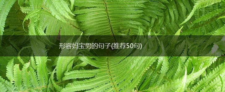 形容妈宝男的句子(推荐50句),第1张
