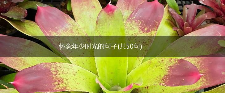 怀念年少时光的句子(共50句),第1张