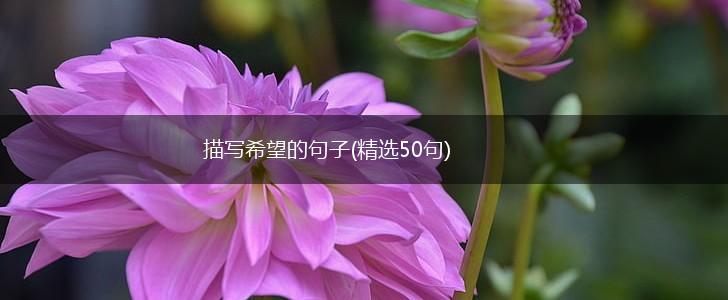 描写希望的句子(精选50句),第1张