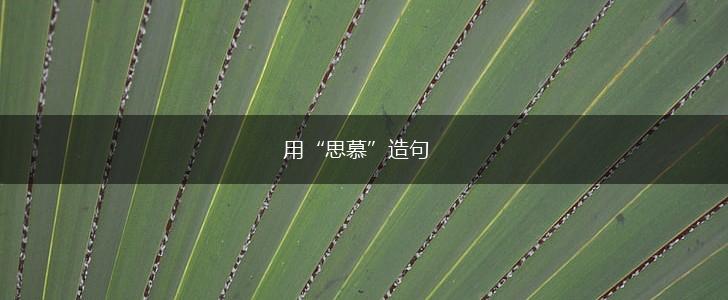 用“思慕”造句,第1张 用“思慕”造句,第1张