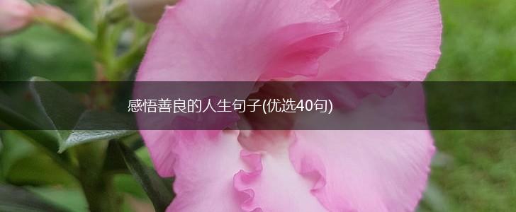 感悟善良的人生句子(优选40句),第1张