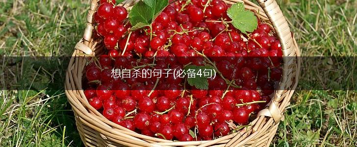 想自杀的句子(必备4句),第1张