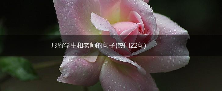 形容学生和老师的句子(热门22句),第1张