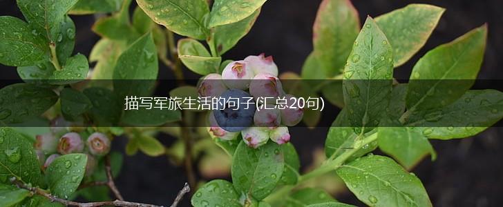 描写军旅生活的句子(汇总20句),第1张