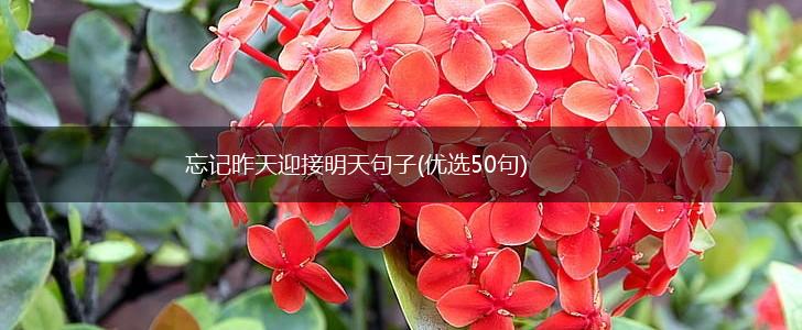 忘记昨天迎接明天句子(优选50句),第1张