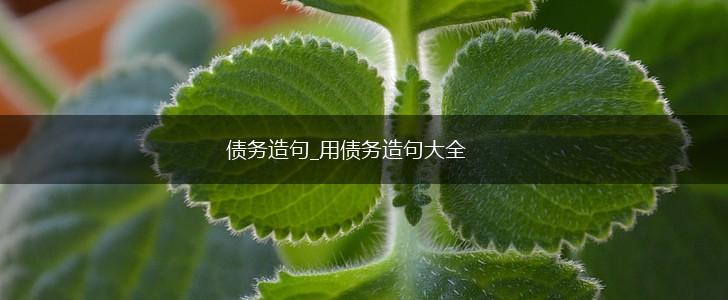 债务造句_用债务造句大全,第1张 债务造句_用债务造句大全,第1张