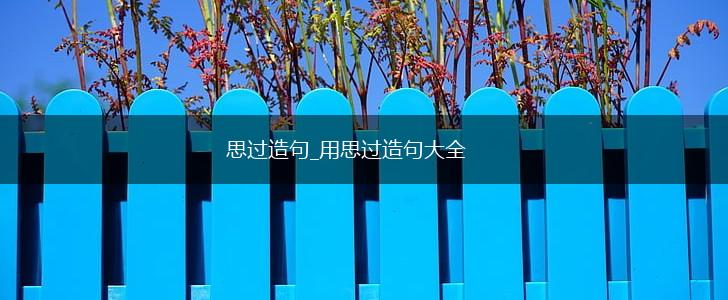 思过造句_用思过造句大全,第1张