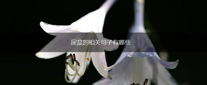 尿盆的相关句子有哪些,第1张 尿盆的相关句子有哪些,第1张