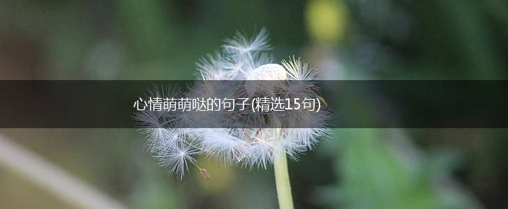 心情萌萌哒的句子(精选15句),第1张