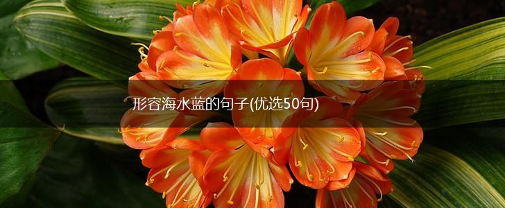 形容海水蓝的句子(优选50句),第1张