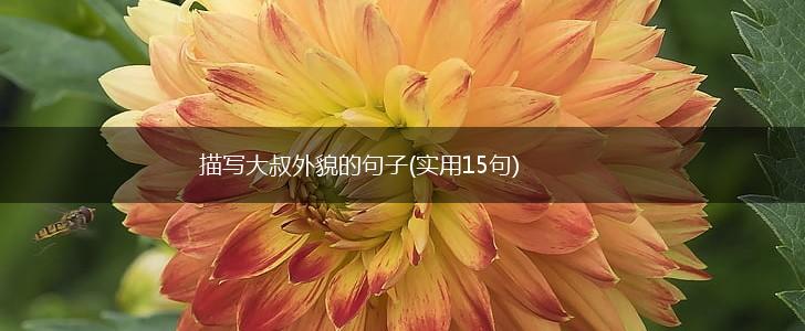 描写大叔外貌的句子(实用15句),第1张
