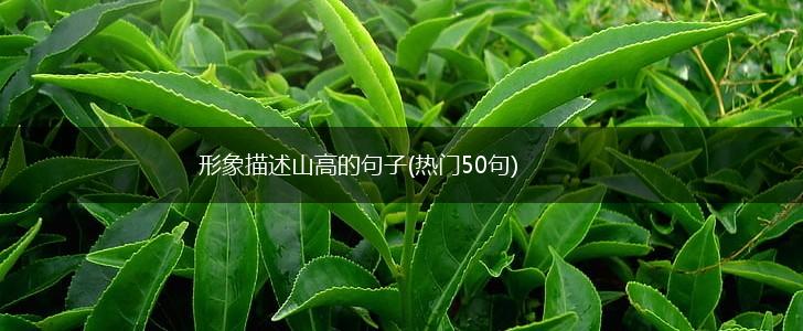 形象描述山高的句子(热门50句),第1张