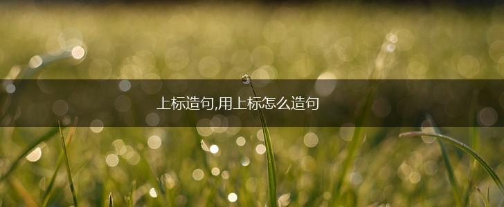 上标造句,用上标怎么造句,第1张