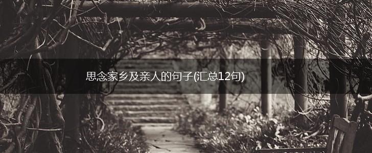 思念家乡及亲人的句子(汇总12句),第1张