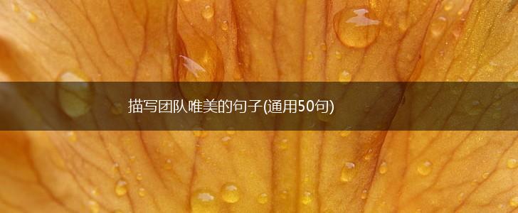 描写团队唯美的句子(通用50句),第1张