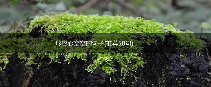 形容心空空的句子(推荐50句),第1张