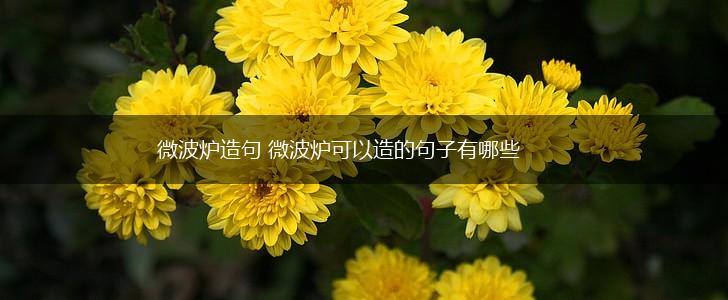 微波炉造句 微波炉可以造的句子有哪些,第1张 微波炉造句 微波炉可以造的句子有哪些,第1张