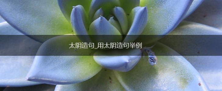 太阴造句_用太阴造句举例,第1张 太阴造句_用太阴造句举例,第1张