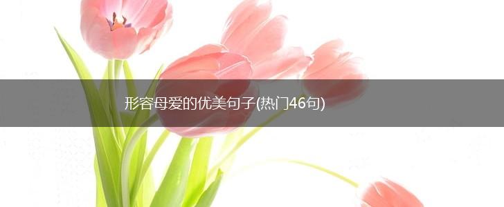 形容母爱的优美句子(热门46句),第1张
