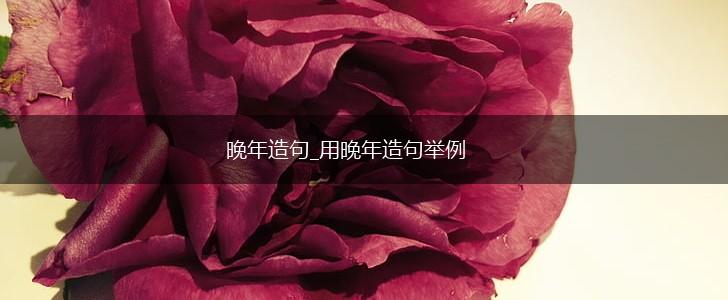 晚年造句_用晚年造句举例,第1张 晚年造句_用晚年造句举例,第1张