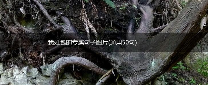 我姓包的专属句子图片(通用50句),第1张