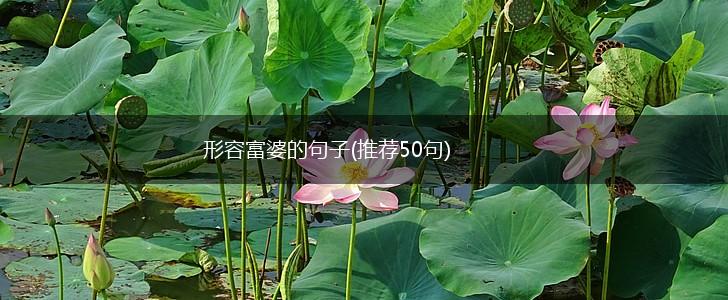 形容富婆的句子(推荐50句),第1张