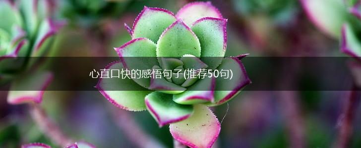 心直口快的感悟句子(推荐50句),第1张