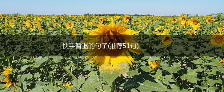 快手暂退的句子(推荐51句),第1张