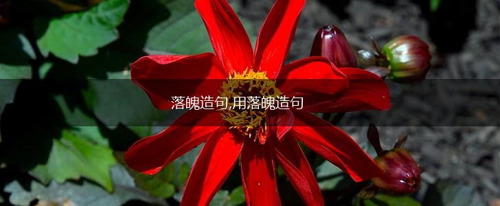落魄造句,用落魄造句,第1张 落魄造句,用落魄造句,第1张